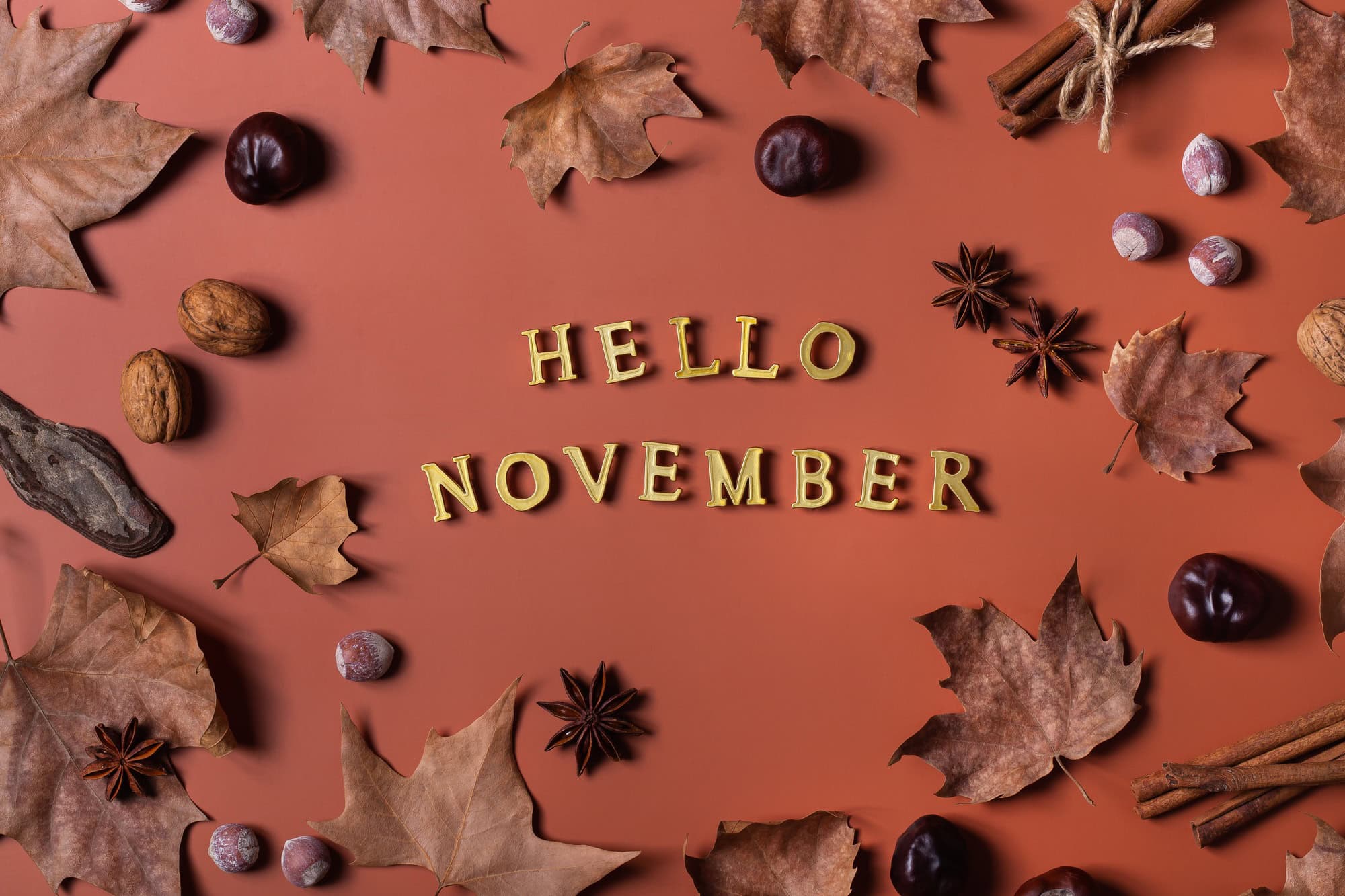 Composition d'automne en novembre avec des feuilles séchées décoratives